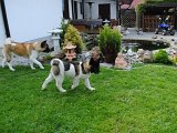2010_05_24 196.jpg